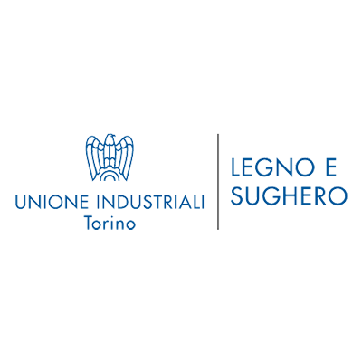 unione torino